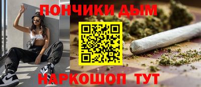 индика Моздок