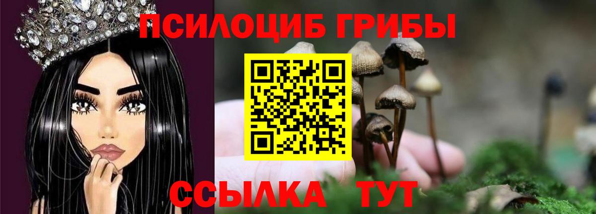 Галлюциногенные грибы мицелий  Вход с VPN  Псилоцибиновые грибы Psilocybe  Верхний Уфалей 